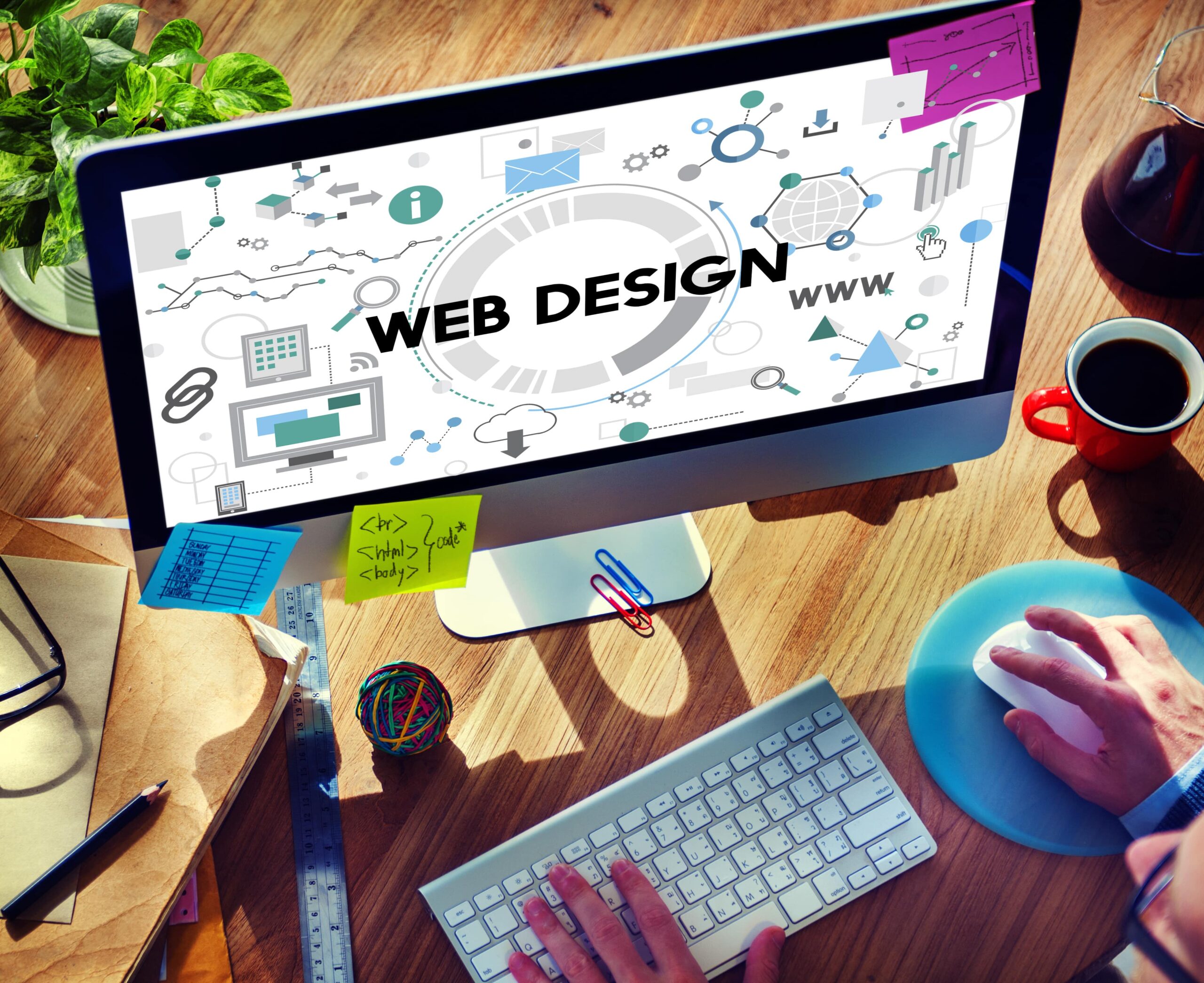 Most Popular WordPress Themes